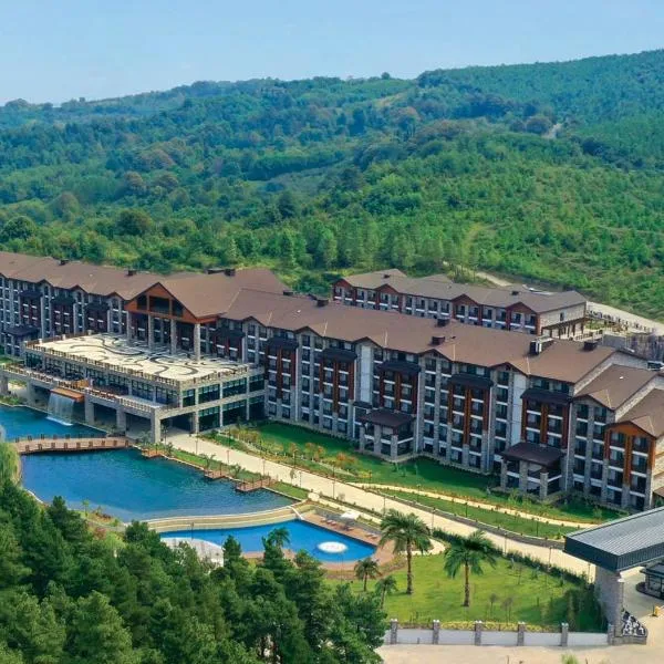 Elite World Grand Sapanca，位于Kırkpınar的酒店