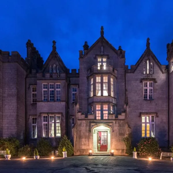 基尼缇城堡酒店，位于Ballaghmore的酒店