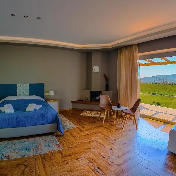 Atrium Vinea Brintziki Winery，位于Iráklia的酒店