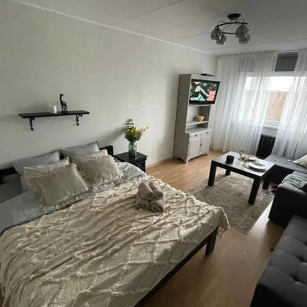 Tapa Guest Apartment，位于Kõrveküla的酒店