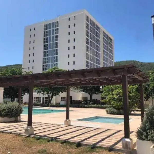 Bay Front Apt 208，位于Spanish Town的酒店