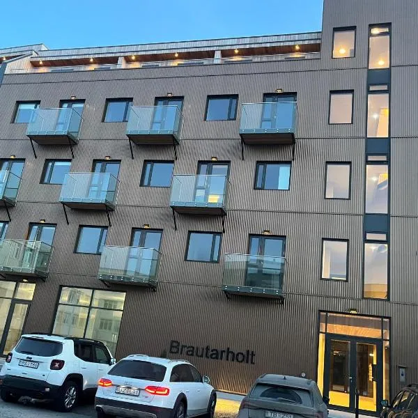 Iceland SJF Apartments - 201，位于雷克雅未克的酒店