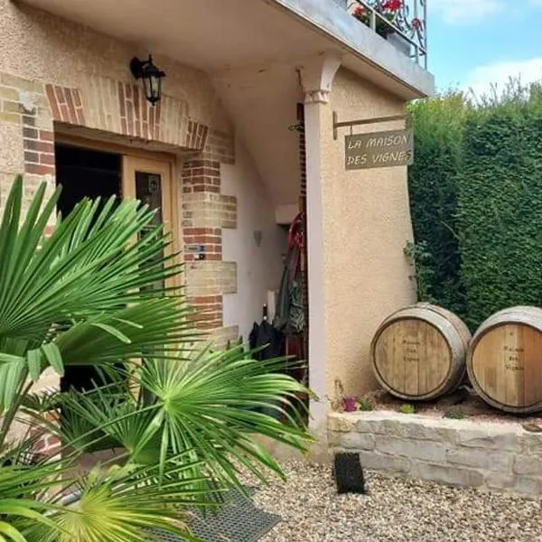 La Maison des Vignes，位于Saint-Étienne-des-Oullières的酒店