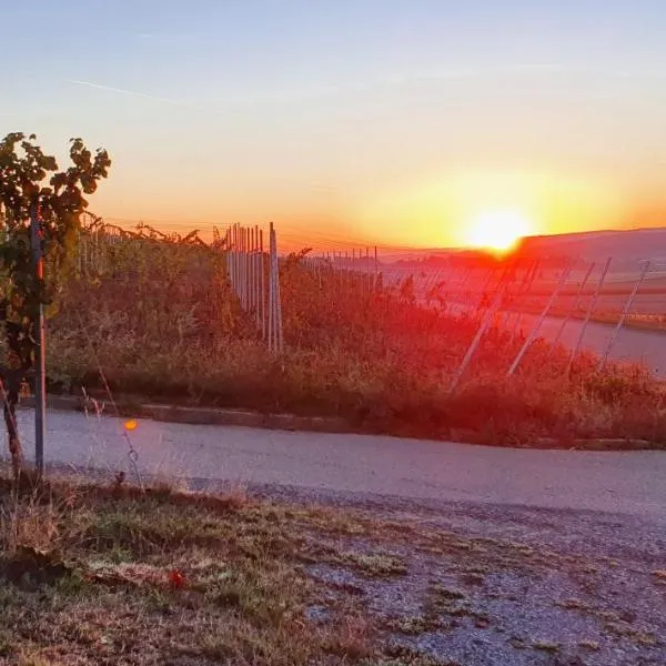 Weingut Will und Würz Lemberger，位于Schwaigern的酒店