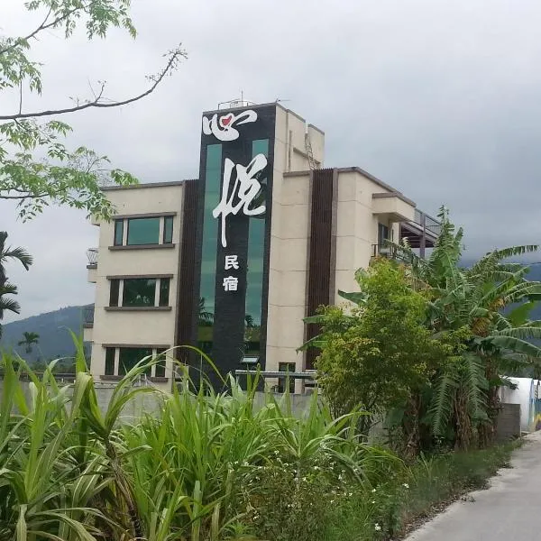 心悦民宿 ,位于凤林镇的酒店