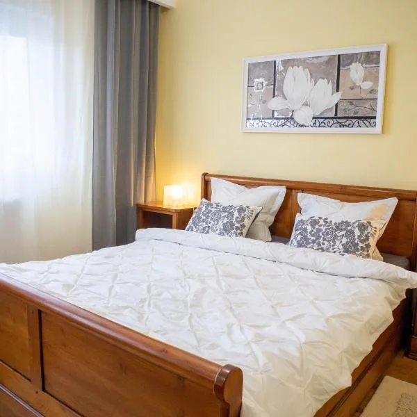 OAK Apartment - Piata Victoriei,位于布加勒斯特的酒店