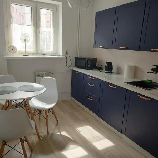 Apartament centrum Szczytno Mazury，位于什奇特诺的酒店