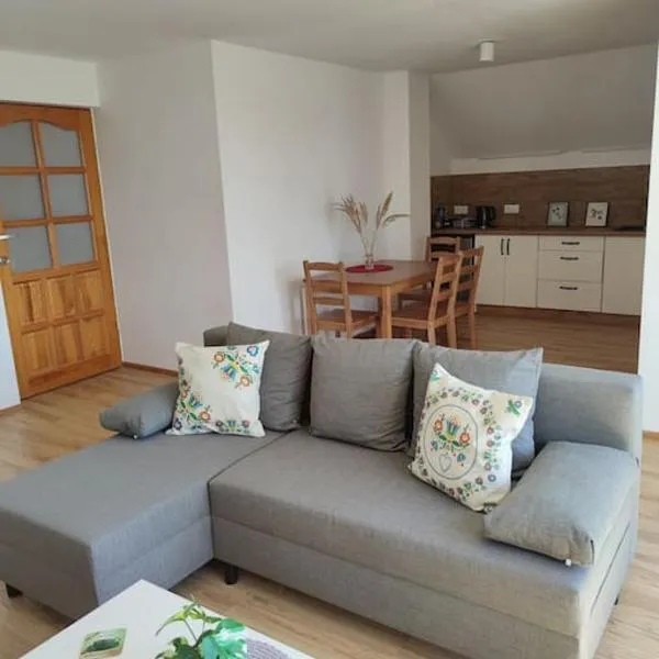 Apartament za lasem，位于Kaliska Kościerskie的酒店