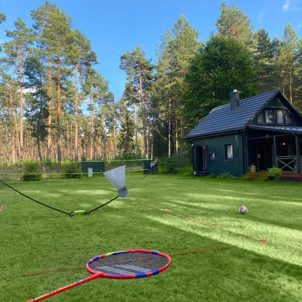 Roztocze - Domek - Trzy Sosny，位于Rebizanty的酒店