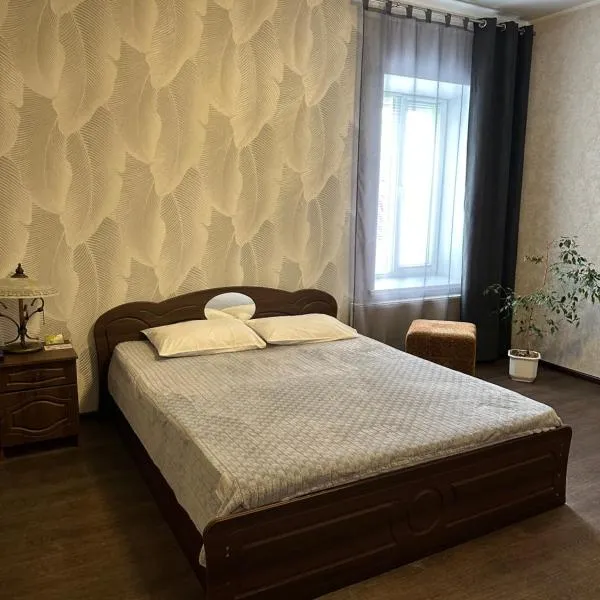 维萨拉布德知卡酒店，位于Stetsʼkivka的酒店