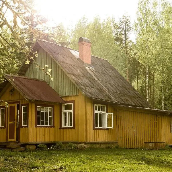 Nedsaja metsamaja ja saun，位于Rõsna的酒店