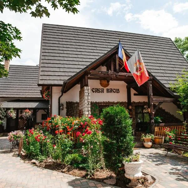 Casa Baciu，位于Valea Putnei的酒店