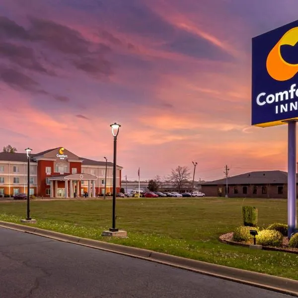 Comfort Inn US Hwy 80，位于Demopolis的酒店