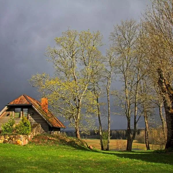 Mājiņa ar pirti ,lauku apvidū.，位于Ranka的酒店