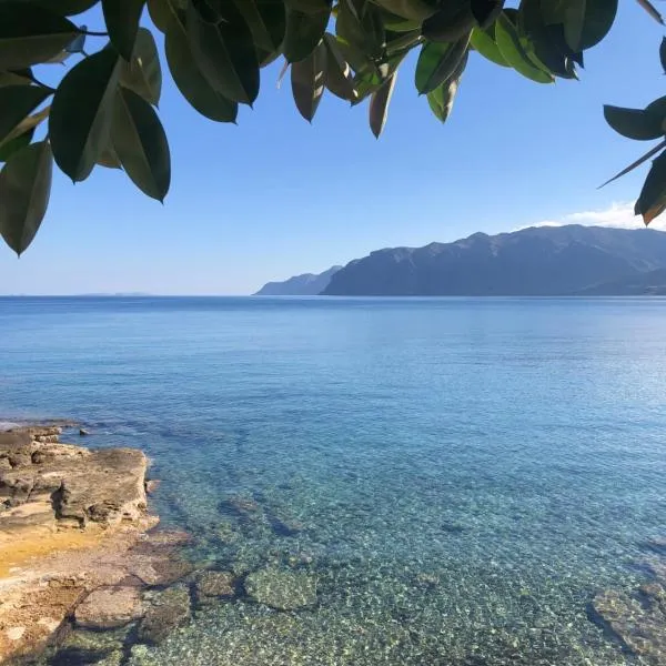The Island House - Family size Apt - Overlooking the Aegean - 3 Steps From the Beach，位于莫什劳斯的酒店