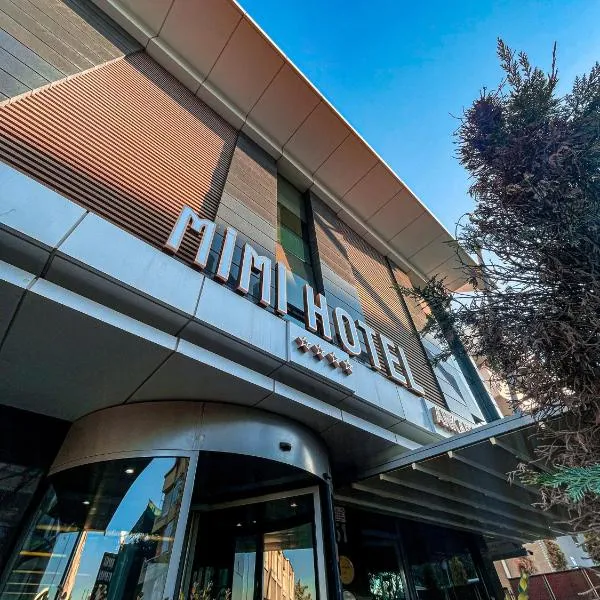 Mimi Hotel Ankara，位于安卡拉的酒店