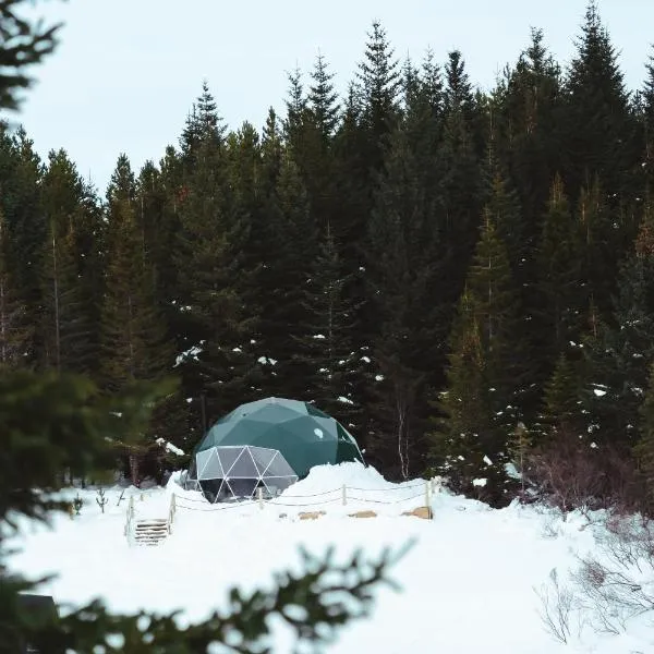 Golden Circle Domes - Glamping Experience，位于Kiðjaberg的酒店