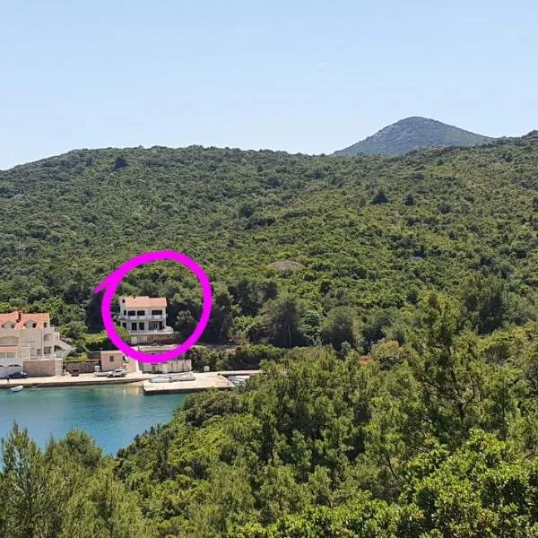 Captain Ante's House，位于Dragove的酒店