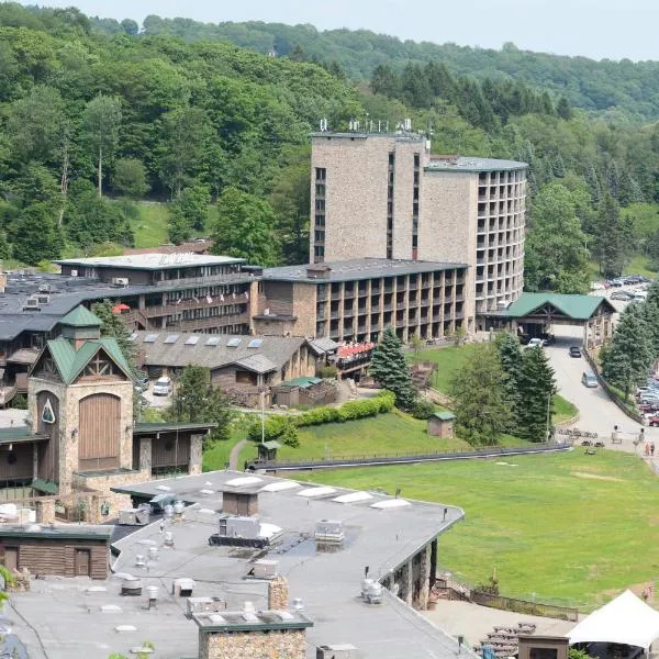 Slopeside Hotel, A Vail Resorts Property，位于Champion的酒店