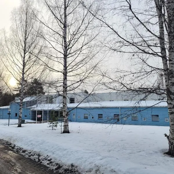 Särkkä，位于Linnankylä的酒店