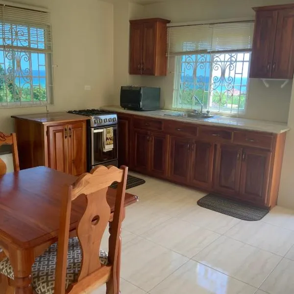 POINCIANA APARTMENT ONE 257 POINCIANA DRIVE GREEN WOOD MONTEGO BAY JAMAICA，位于蒙特哥贝的酒店