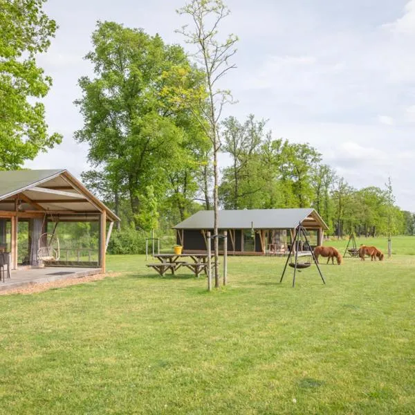 Landrijk De Reesprong boerderij，位于温特斯韦克的酒店