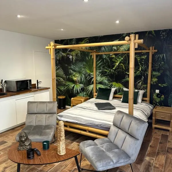 Jungle room，位于索特维尔鲁昂的酒店