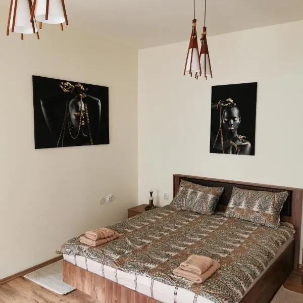 APARTAMENT REGUN，位于Vălenii de Mureş的酒店