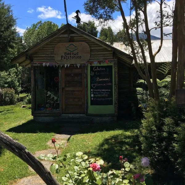 Bosque Patagonico Cabañas y Camping，位于奥尔诺皮伦的酒店