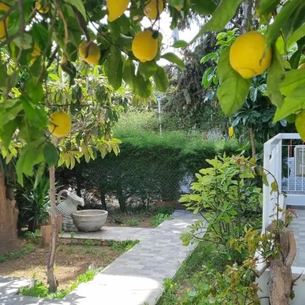 Elpida Lemon Garden House，位于厄瑞米的酒店