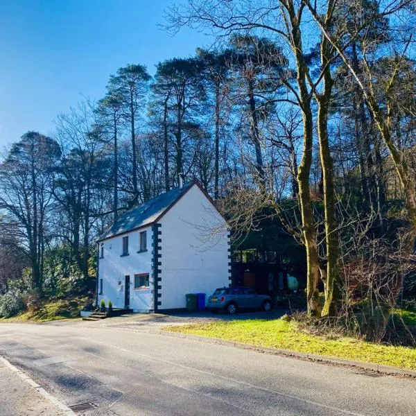 Eakie House Apartments - Kinlochleven，位于金洛赫利文的酒店