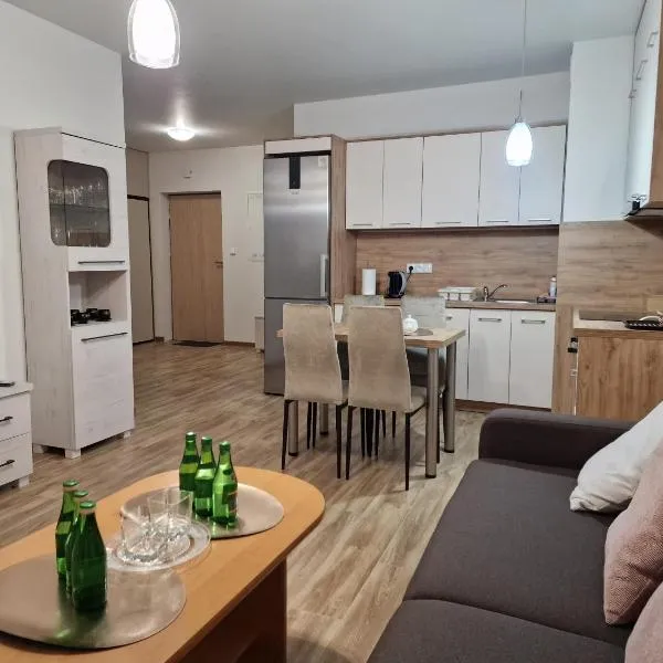 Apartament Elżbieta，位于布斯克·兹德鲁伊的酒店