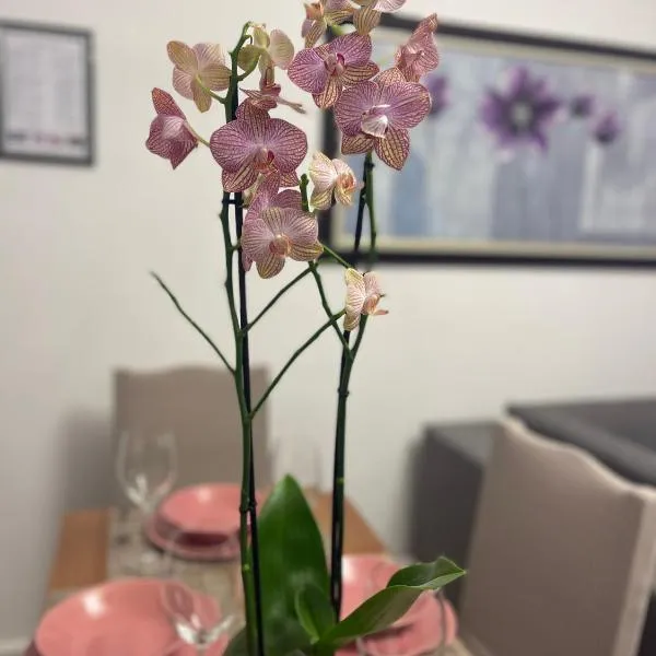 Arteg Apartments - Premium，位于都拉斯的酒店