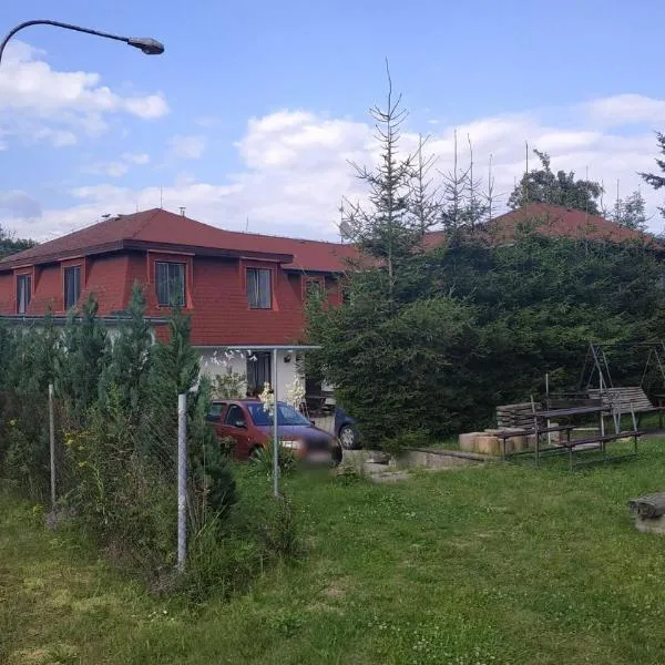 Penzion Nová Ves，位于Hvozd的酒店