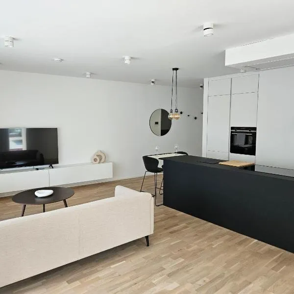 New Spacious Two Bedroom Center with Parking, near Public Transport，位于卢森堡的酒店