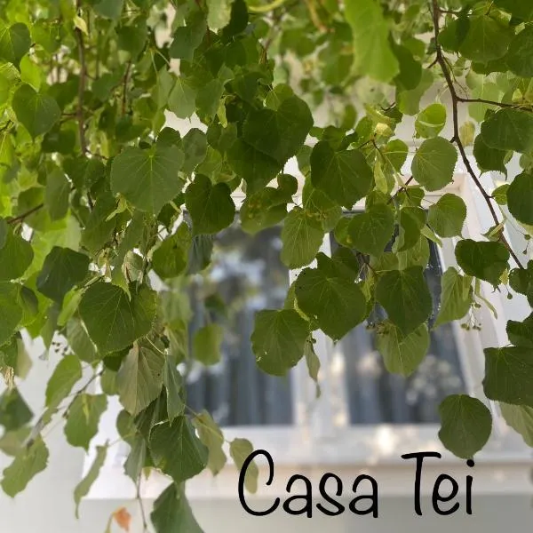 Casa Tei，位于Turnişor的酒店