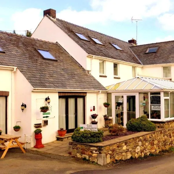 Ivybridge Guesthouse，位于菲什加德的酒店
