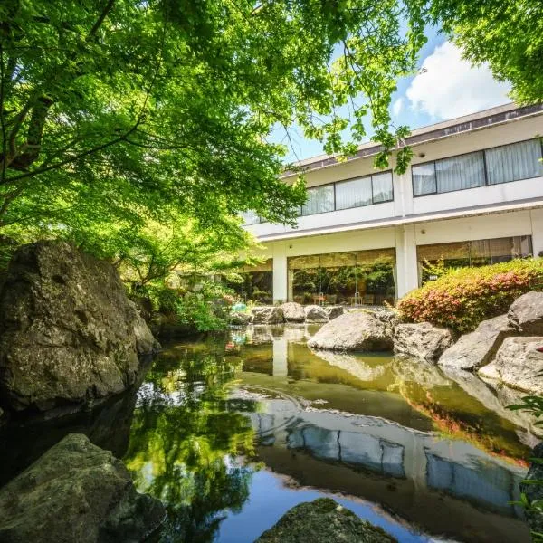 Hotel Hoho "A hotel overlooking the Echigo Plain and the Yahiko mountain range" formerly Hotel Oohashi Yakata-no-Yu，位于Yahiko的酒店