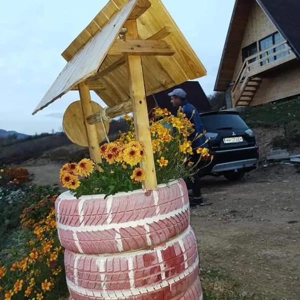 Căsuțele din Zăbran，位于Gornenţi的酒店