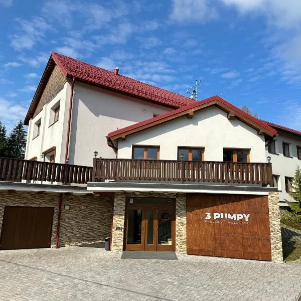 Penzion Tři pumpy，位于České Křižánky的酒店