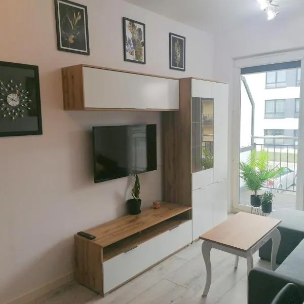 Apartament Pruszcz Gdański 1，位于格但斯克普鲁什奇的酒店