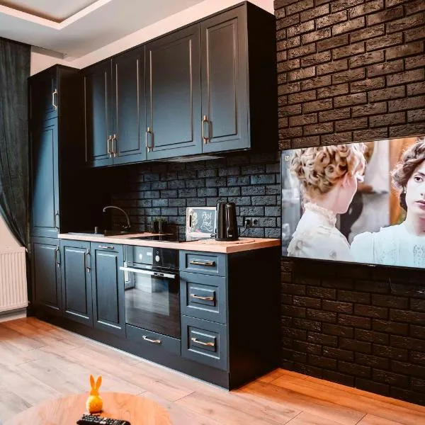 Apartament LOFT na Moniuszki，位于拉多姆的酒店
