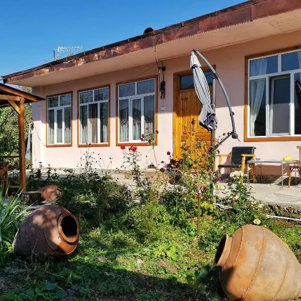 Tatev Guest House，位于塔特夫的酒店