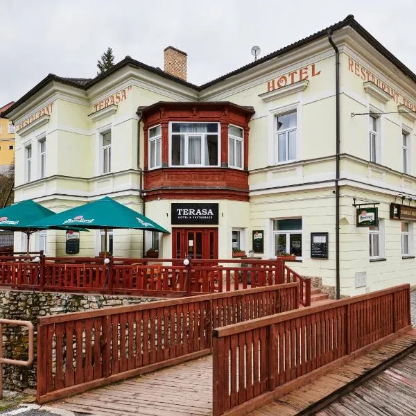 特瑞莎酒店，位于Šindlov的酒店