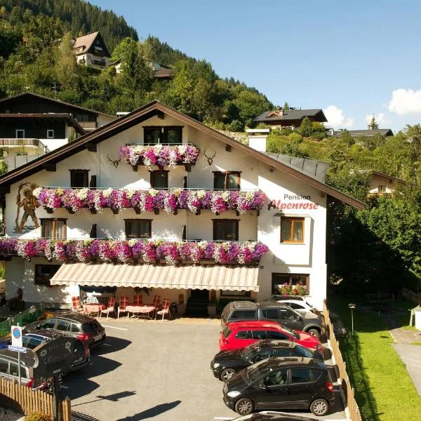Pension Alpenrose，位于滨湖采尔的酒店
