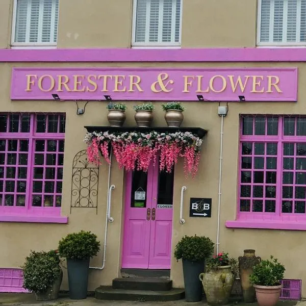 森林者与花酒店，位于巴斯的酒店