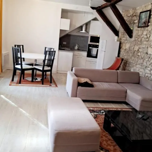 Appartement 1chambre et 1salon，位于Cepoy的酒店