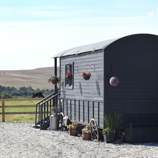 The Cloves Farm Shepherd’s Hut，位于利德福德的酒店