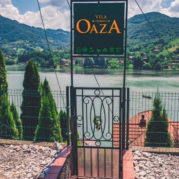 Vila Oaza - Zvorničko jezero，位于兹沃尔尼克的酒店