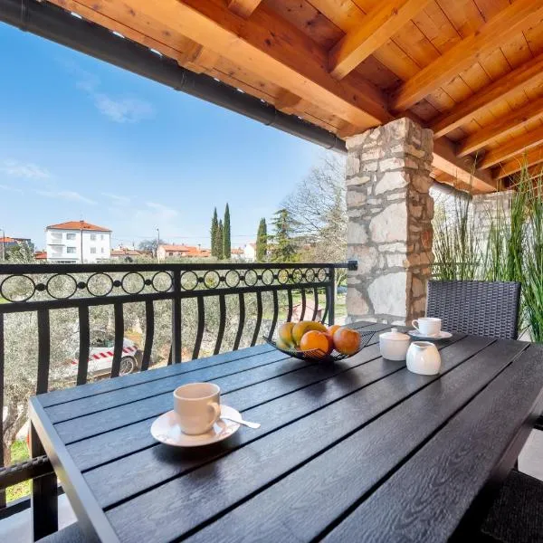 Comfort Apartments Karla，位于罗维尼的酒店